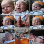 Baby pictures at The Picture People