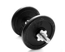 dumbells_gym alternative to gym
