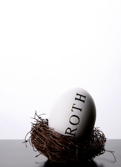 Roth_IRA_Nest_Egg roth ira nest egg