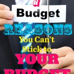 Reasons We Can't Stick to Our Budget